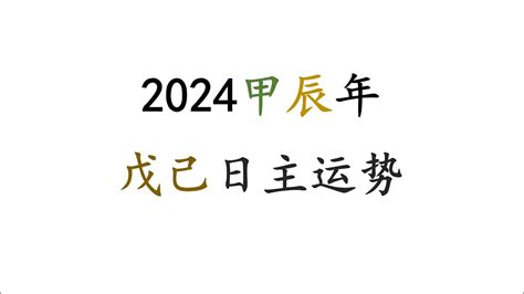 2024 戊土|戊土日主2024甲辰年运：附六大日柱详解